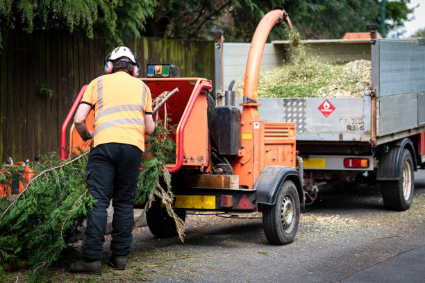 Best Weed Control  in Westmorland, CA